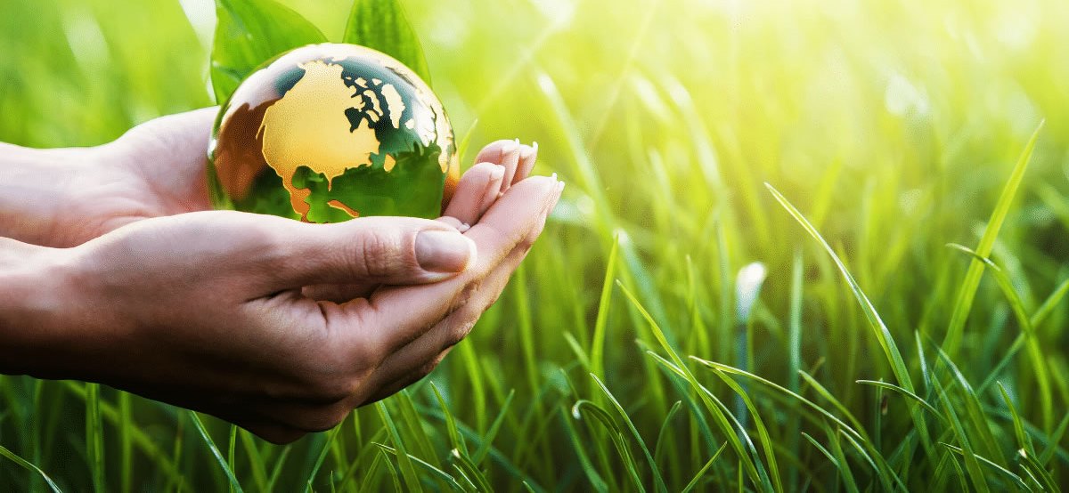 enviroment management system2
